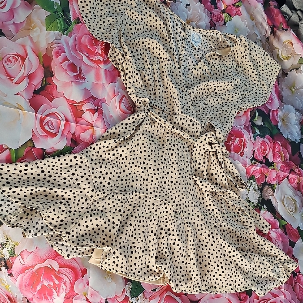 NWOT Polka Dot Dress with Belt